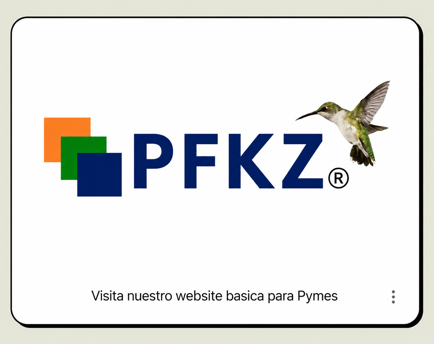 PFKZ Revisores Fiscales